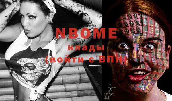 ПСИЛОЦИБИНОВЫЕ ГРИБЫ Гусь-Хрустальный