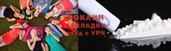 ПСИЛОЦИБИНОВЫЕ ГРИБЫ Гусь-Хрустальный