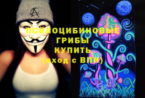 ПСИЛОЦИБИНОВЫЕ ГРИБЫ Гусь-Хрустальный