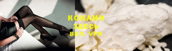 винт Гусев
