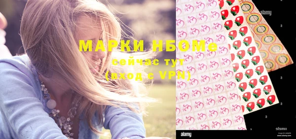 ПСИЛОЦИБИНОВЫЕ ГРИБЫ Гусь-Хрустальный
