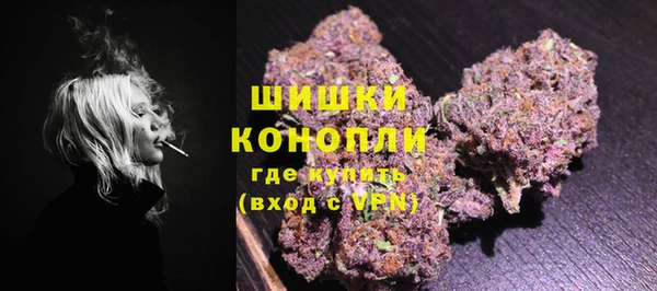 винт Гусев