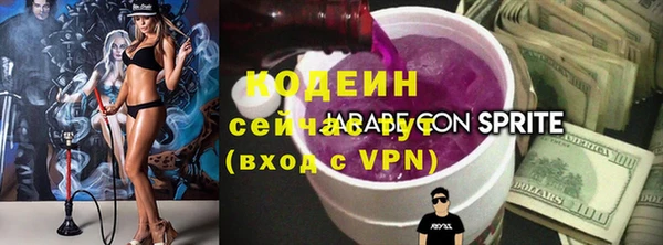 ПСИЛОЦИБИНОВЫЕ ГРИБЫ Гусь-Хрустальный