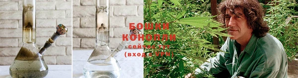ПСИЛОЦИБИНОВЫЕ ГРИБЫ Гусь-Хрустальный