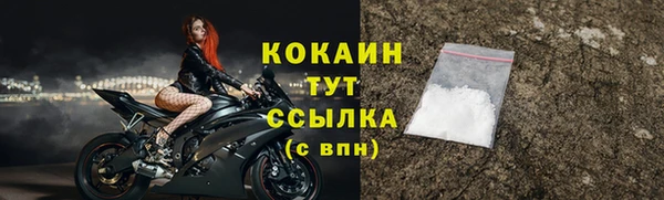 ПСИЛОЦИБИНОВЫЕ ГРИБЫ Гусь-Хрустальный